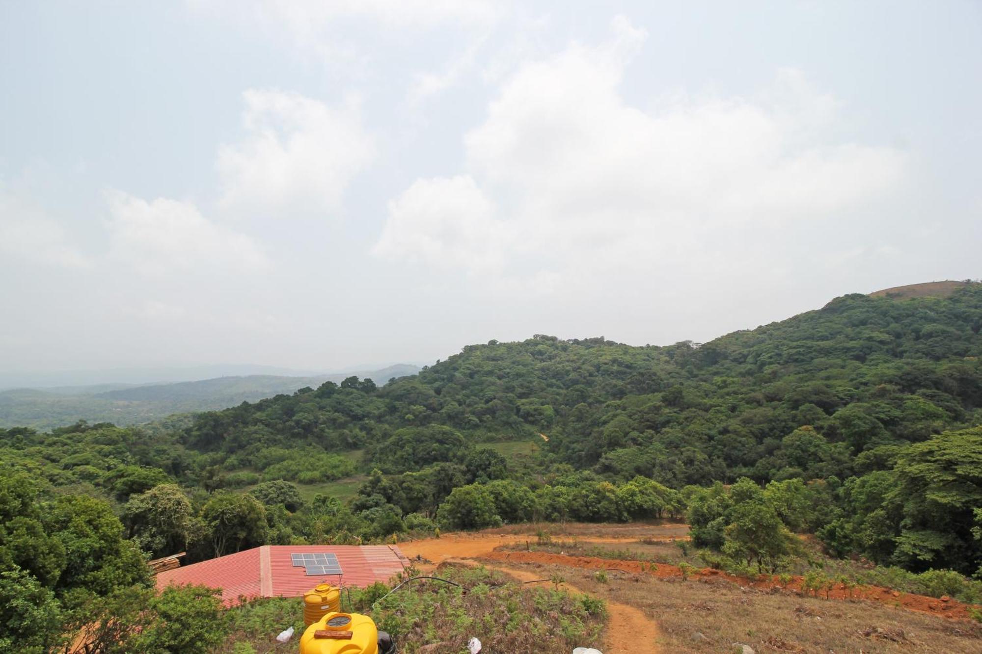 Capital O Coorg Treehouse Hotel Madikeri Eksteriør billede